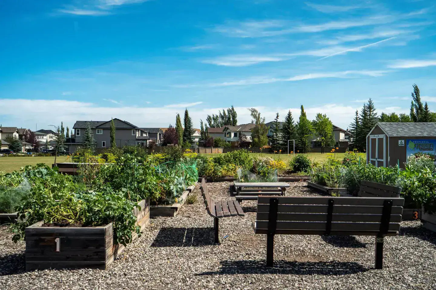 Chaparral property and community context